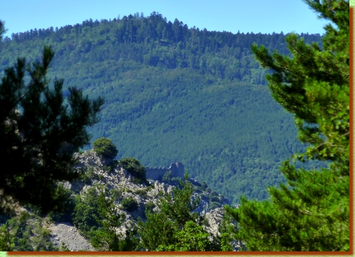 Le château de Puilaurens, vu du chemin de Carrus